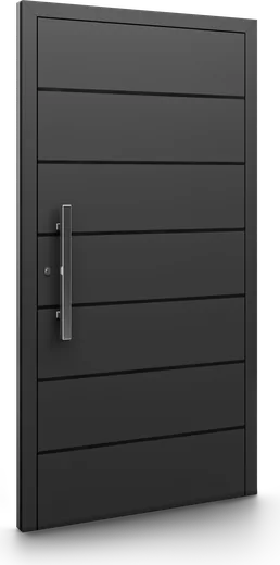 Haustür Modell DP04