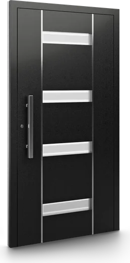Haustür Modell DP09