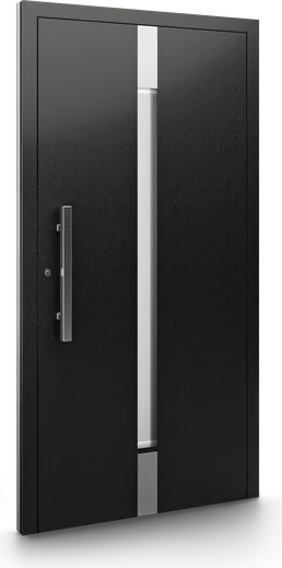 Haustür Modell DP11