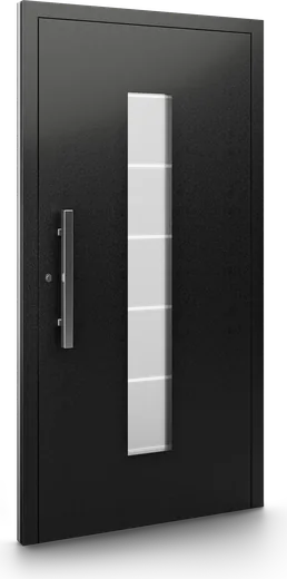 Haustür Modell DP19