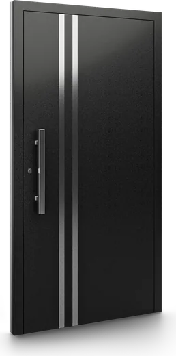 Haustür Modell DP22