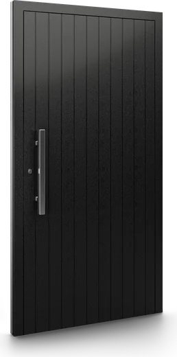 Haustür Modell DP39